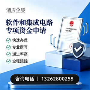 德阳软件和集成电路专项资金申报服务