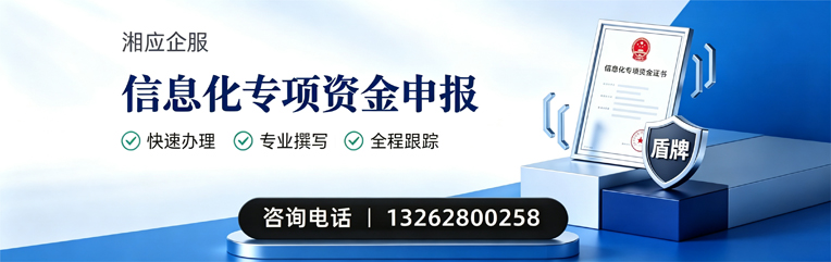德阳信息化专项资金申报服务