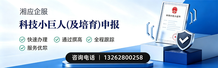 德阳科技小巨人及培育企业申报服务