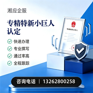德阳专精特新小巨人申报服务