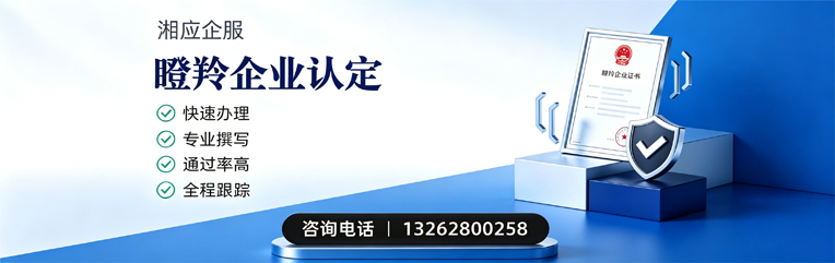 德阳瞪羚企业认定申报服务
