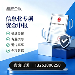 德阳信息化专项资金申报服务