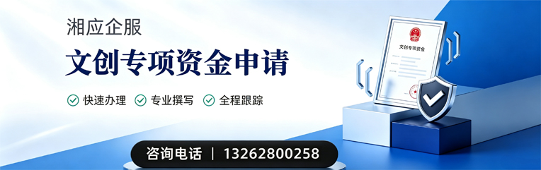 德阳文创专项资金申报服务