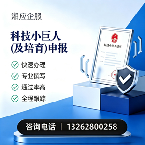 德阳科技小巨人及培育企业申报服务