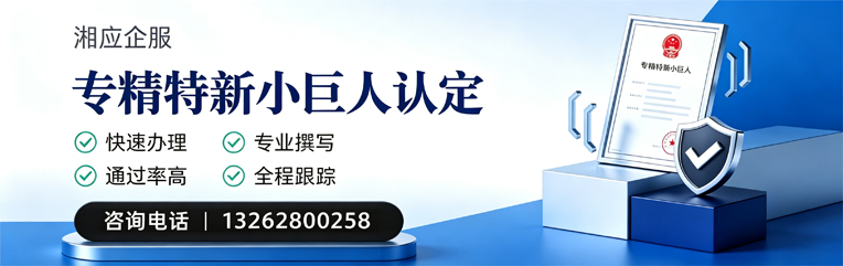 德阳专精特新小巨人申报服务